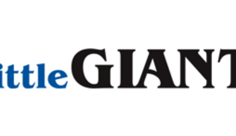 color-logo-little-giant