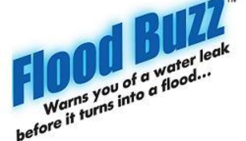 FloodBuzz_Logo200x250